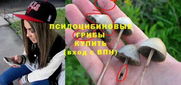 молекула духа Михайловка