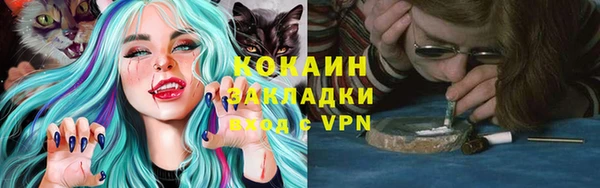 мескалин Михайлов